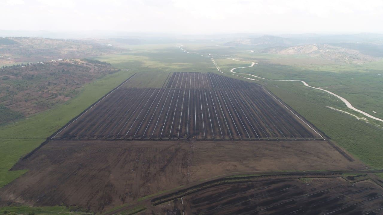 Peat Drying Process